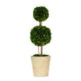 Real Preserved Boxwood Double Ball Topiary - 40"