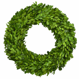 Real Preserved Boxwood Wreath Country Manor Circle - 14"
