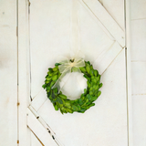 Real Preserved Boxwood Mini Wreath with Ribbon - 8"
