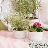 Juliska Berry & Thread  Whitewash Ramekin