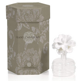 Mini Grand Casablanca Porcelain Diffuser - Assorted Oil Refills