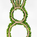 Real Preserved Boxwood Easter Bunny Rabbit Wreath - 27"