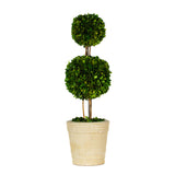 Real Preserved Boxwood Double Ball Topiary - 30"