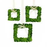 Real Preserved Boxwoods Square Wreaths Set - Varied Sizes - 3 pcs Set