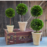 Real Preserved Boxwood Double Sphere Ball Topiary - 20"