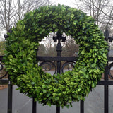 Real Preserved Boxwood Wreath Country Manor Circle - 14"