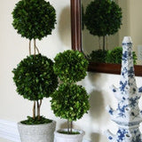 Real Preserved Boxwood Double Ball Topiary - 40"