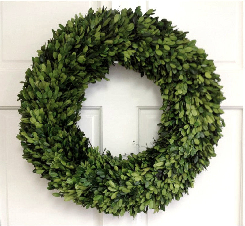 Real Preserved Boxwood Wreath 20"