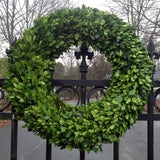 Real Preserved Boxwood Wreath Country Manor Circle - 24"